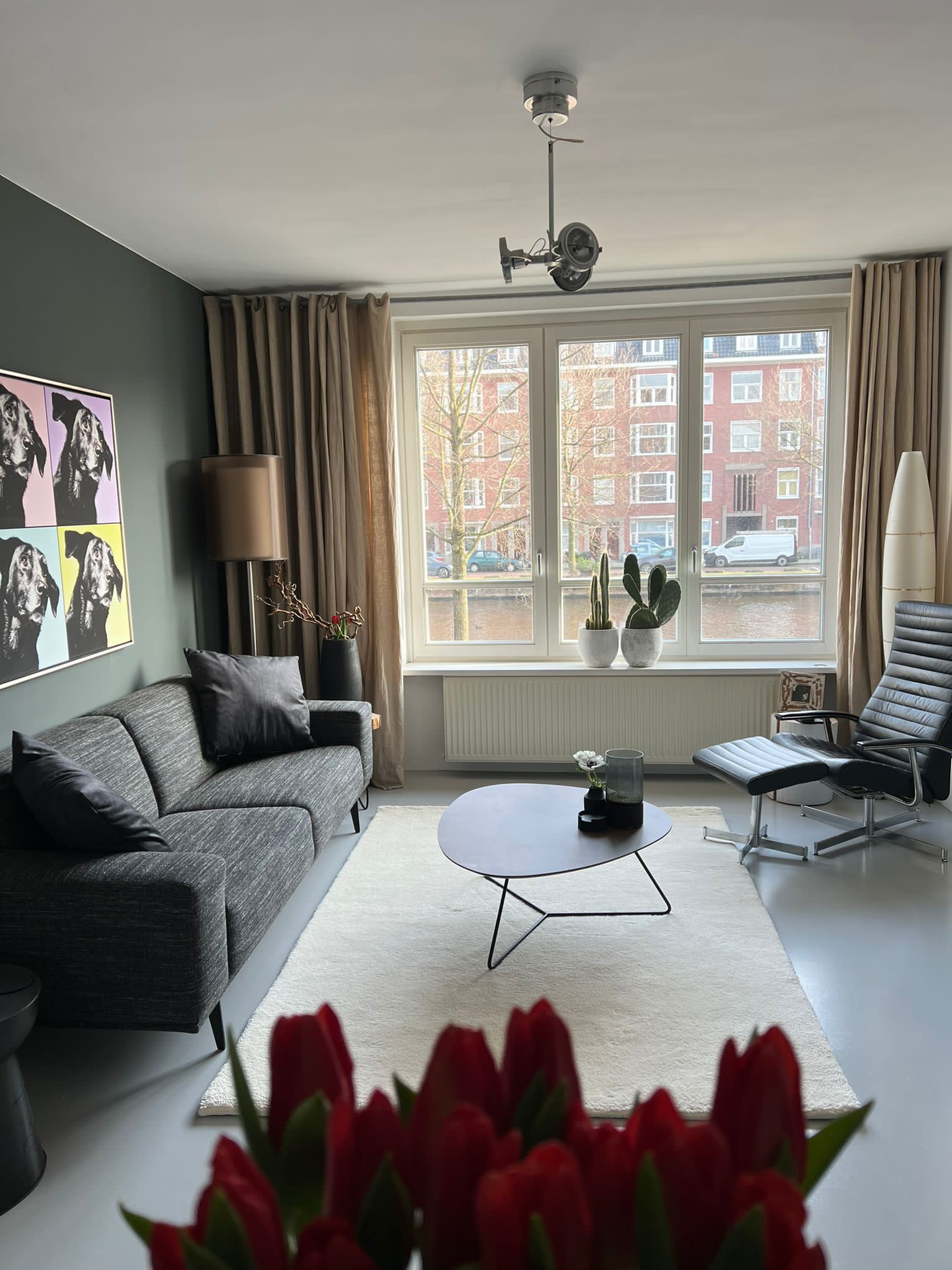 Houseify announces Houseify Launches Exclusive Collection of Handmade Berber Rugs