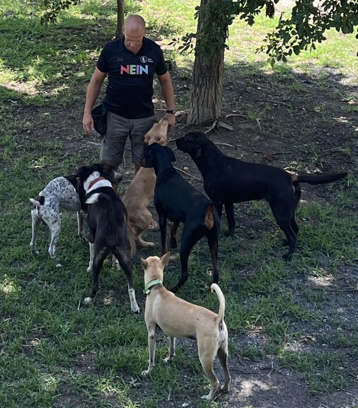 Zoeta Dogsoul Publishes Groundbreaking White Papers on Canine Cognitive Behavior and Invisible Leash Communication