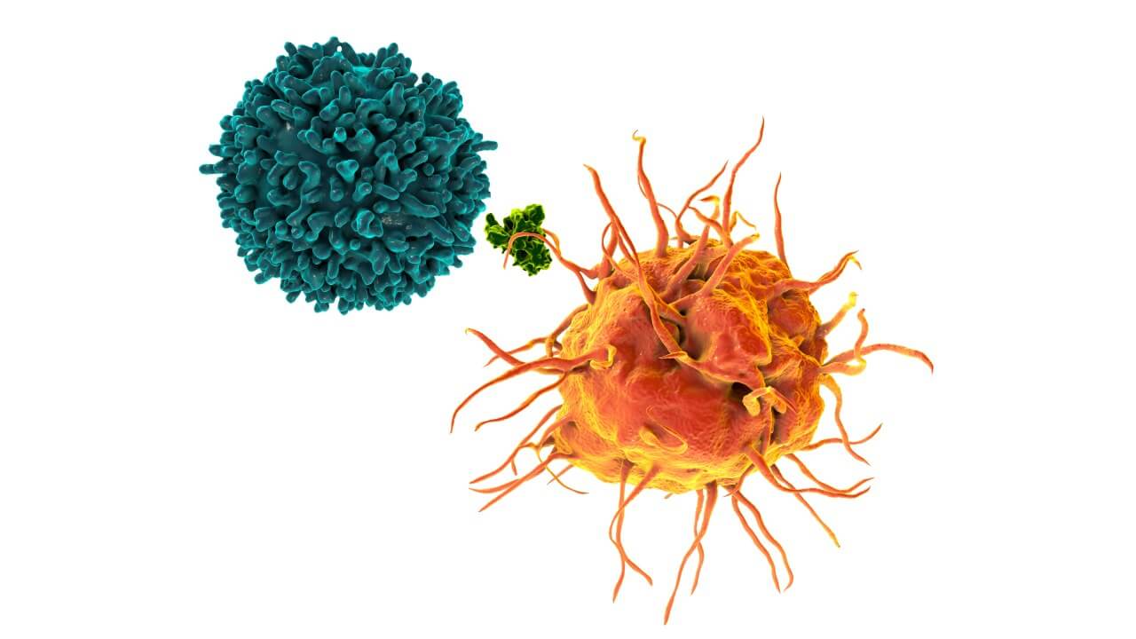 Booking Health Expands Access to Dendritic Cell Therapy After Study Confirms Survival Benefit in Glioblastoma Patients