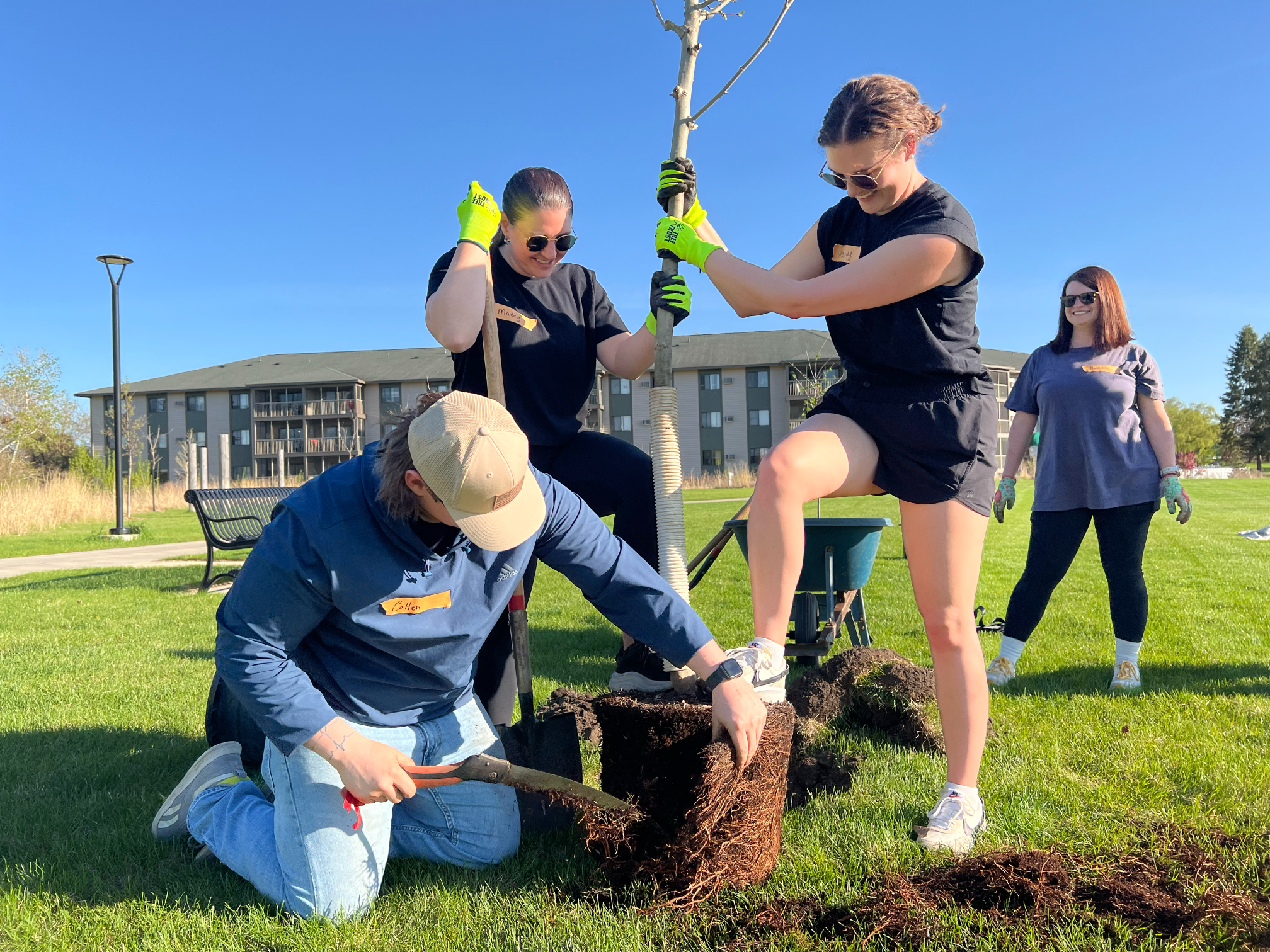 Tree Trust Launches Fall 2025 Planting Season, Invites Community to Volunteer