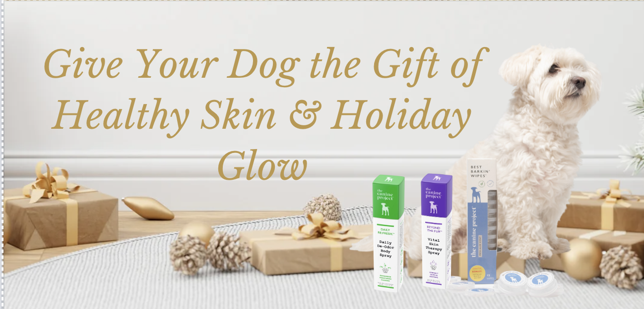 The Canine Project Unveils Exclusive Dog Skincare Bundle for the Holidays