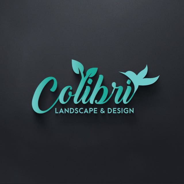 Colibri Landscape & Design Launches Full-Service Backyard Transformation Model for Los Angeles Homeowners