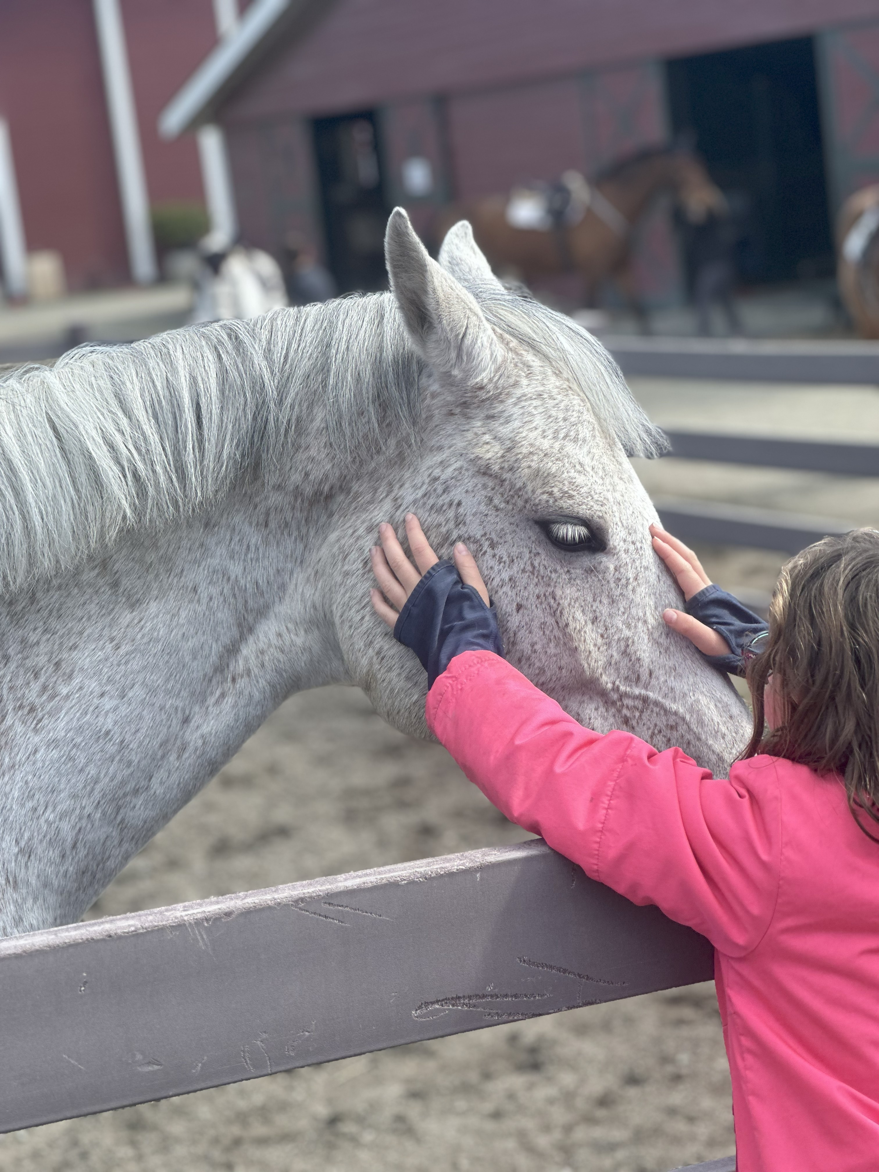 Strides Riding Academy, LLC Champions Accessibility in Equestrian Sports