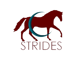 Strides Riding Academy, LLC
