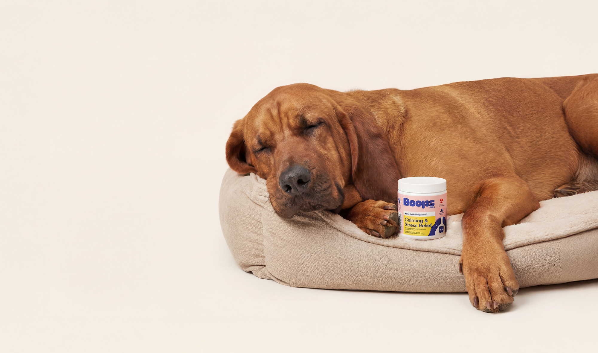 Boops Pets Launches Clinical Grade KSM-66 Ashwagandha Calming Chews for Canine Stress Support