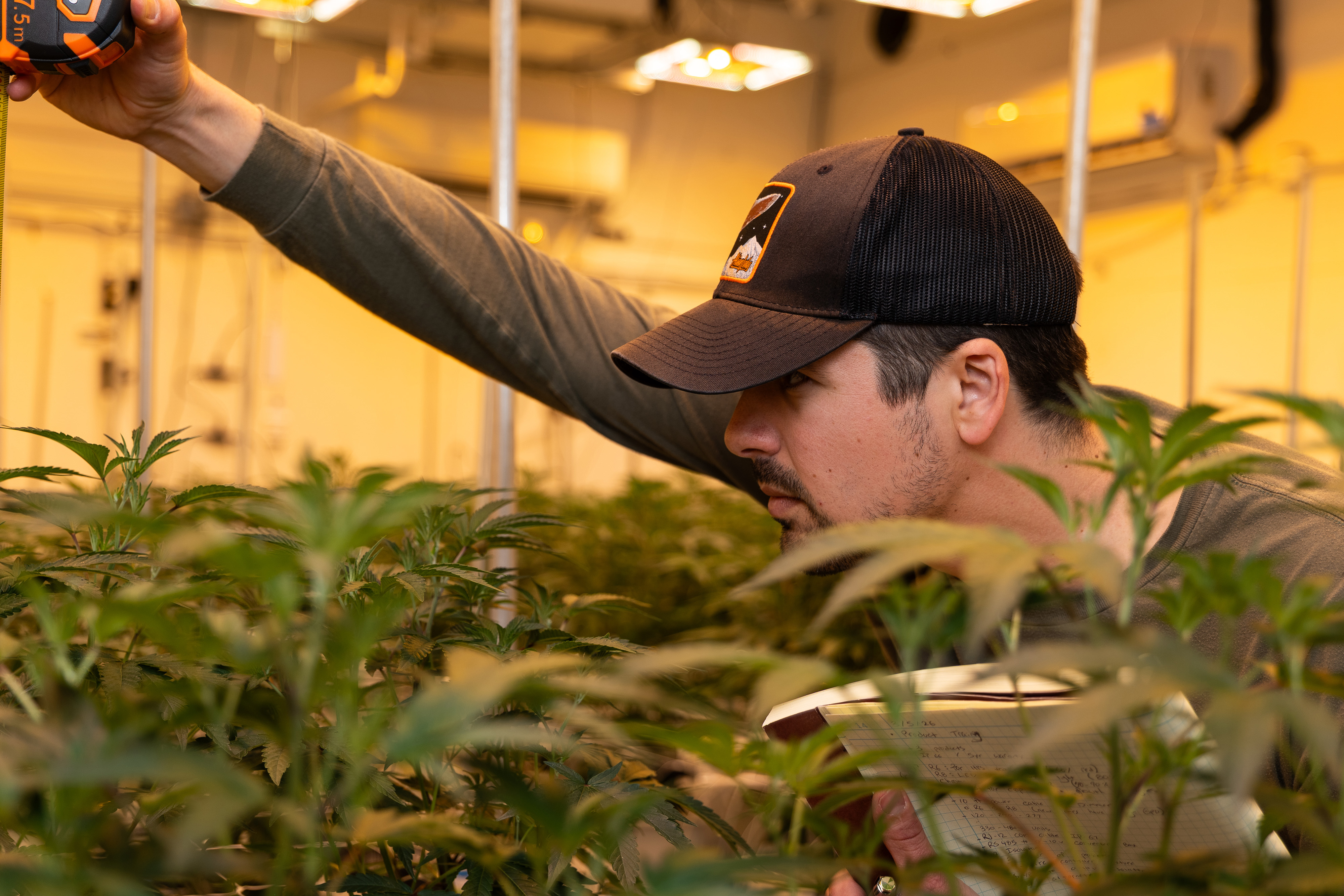 Faven Lighting Hires Dr. Jonathon Karall as Research and Development Director