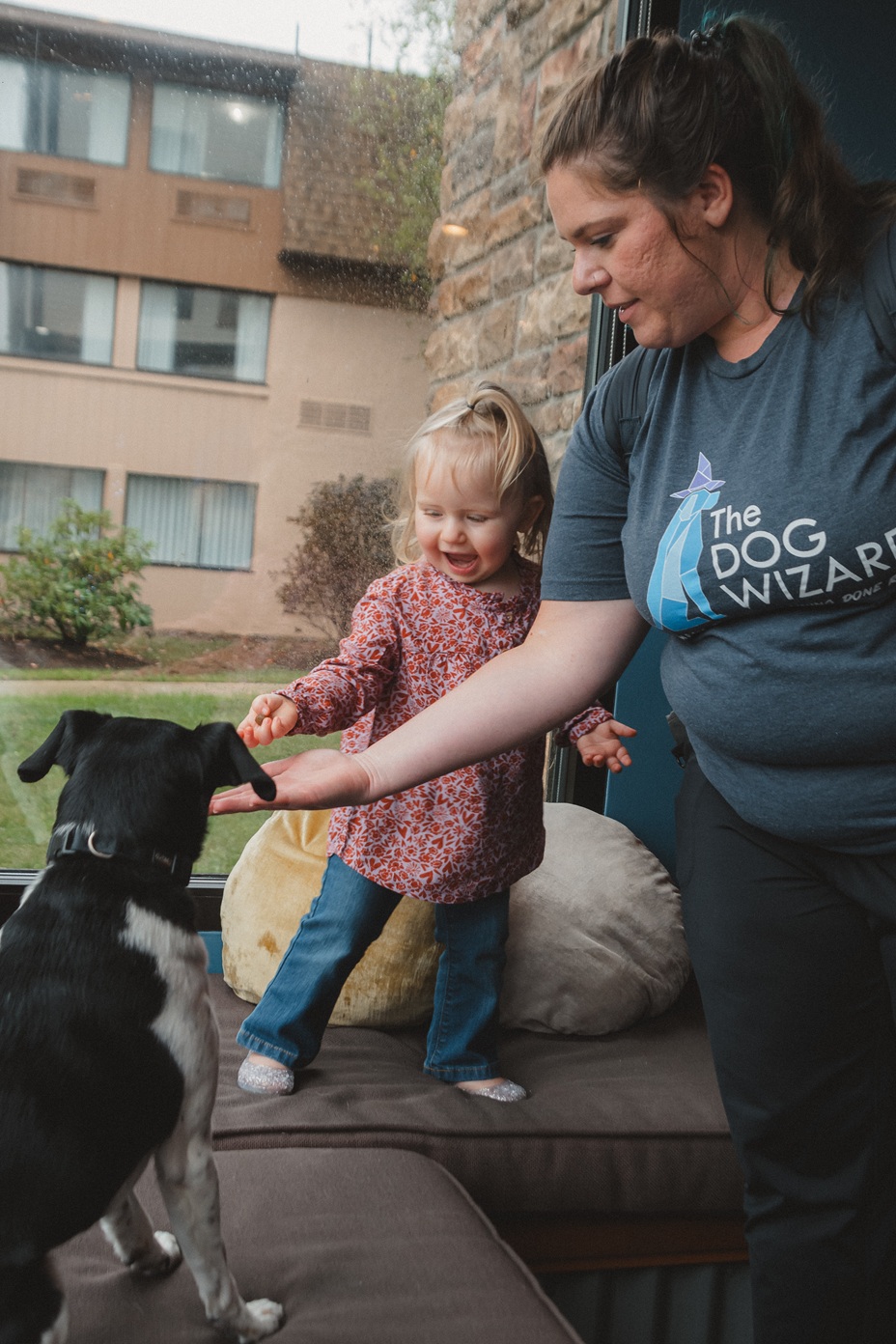 The Dog Wizard Announces Early-Intervention Training Guidance Following Research Showing Nearly Half of Puppies Develop Separation Anxiety by Six Months