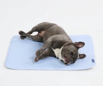 Spark Paws Unveils Innovative Cooling Mats for Dogs: A Summer Essential