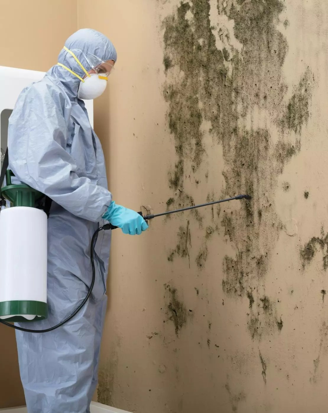 Fantastic Services Unveils New Report Warning Private Landlords Over Rising Legal Exposure to Damp and Mould Claims