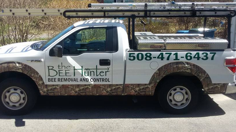 The Bee Hunter Releases Educational Resources on Stinging Insect Identification and Removal for MetroWest Homeowners