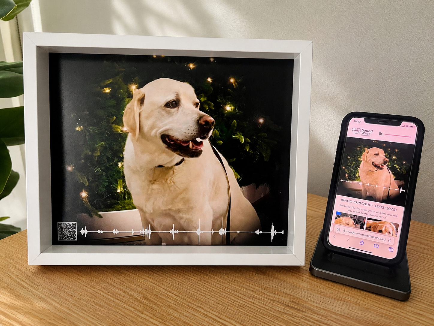 A Shift in Pet Memorials: Soundwave Memorials Helps Families Preserve the Sounds They Never Want to Forget