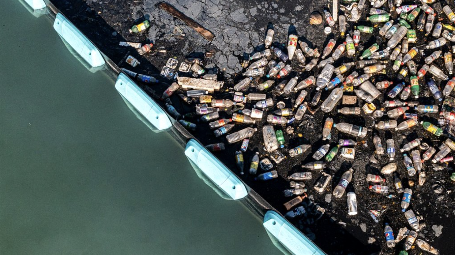 OtterlyAI backs The Ocean Cleanup