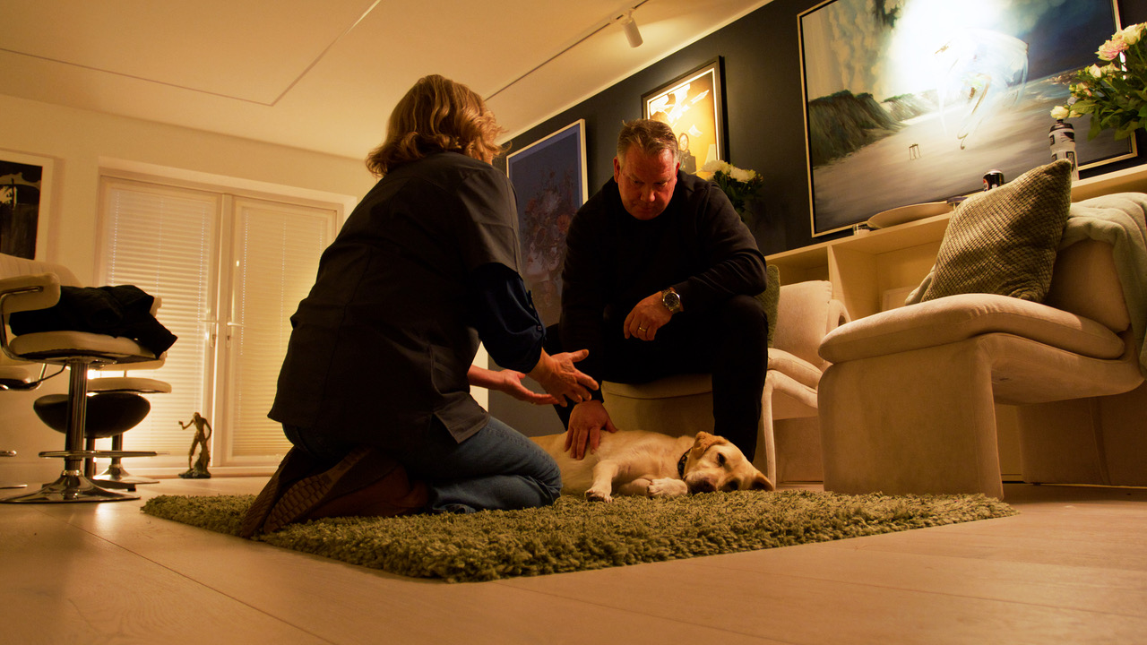 Cloud 9 Vets calls on the CMA to add at-home pet euthanasia to the new mandatory vet price list