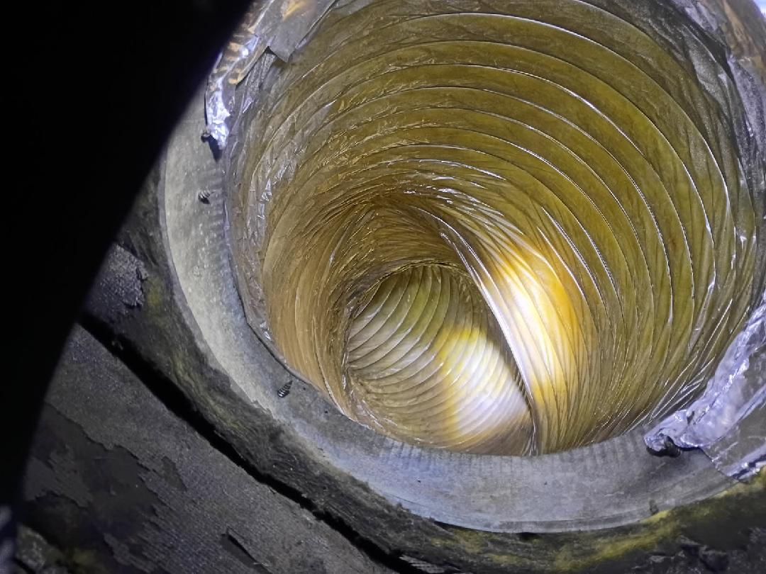 Bend Duct Cleaning Uncovers Rodent Remains Behind an Odor Only Guests Noticed