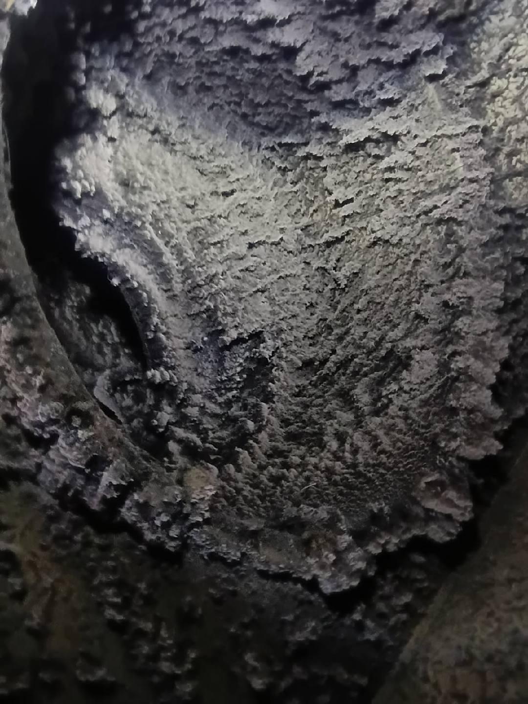 Bend Duct Cleaning Uncovers Rodent Remains Behind an Odor Only Guests Noticed